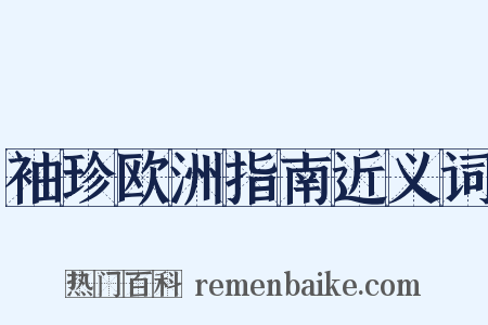 袖珍欧洲指南近义词是什么意思的图片